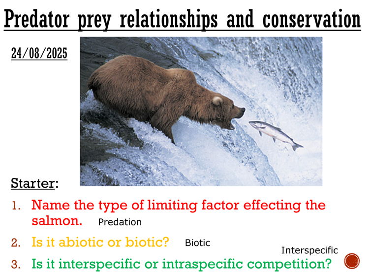 Predator/prey relationships & conservation - complete lesson (AS/A2)