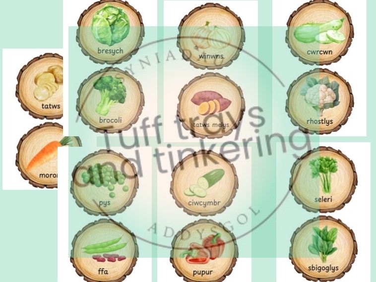 llysiau vegetables log slices  Foundation phase Curriculum for Wales Early Years PS1 addysg Cymraeg