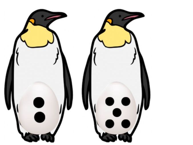 Penguin Number Matching