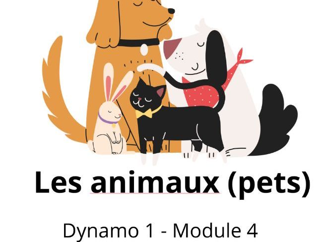As-tu un animal? Y7 Dynamo 1