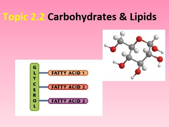 Carbohydrates & Lipids [Biology 9700]