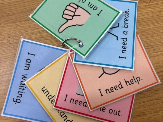 Emotional Support Communication Cards for Children, Feelings and Needs Aid