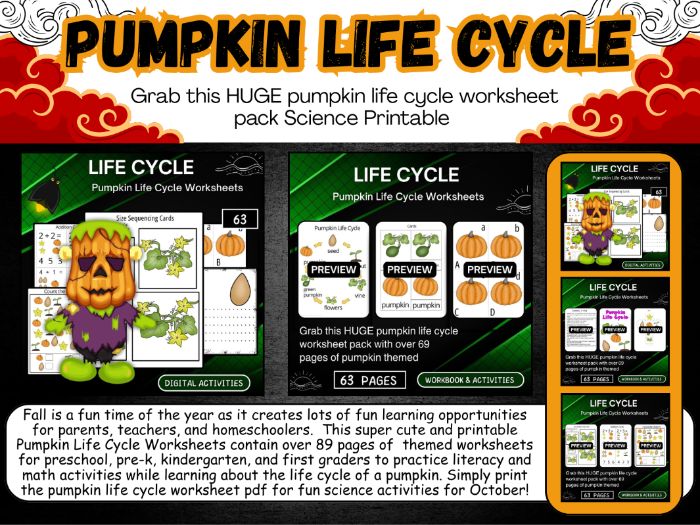 Pumpkin Life Cycle Worksheets printable