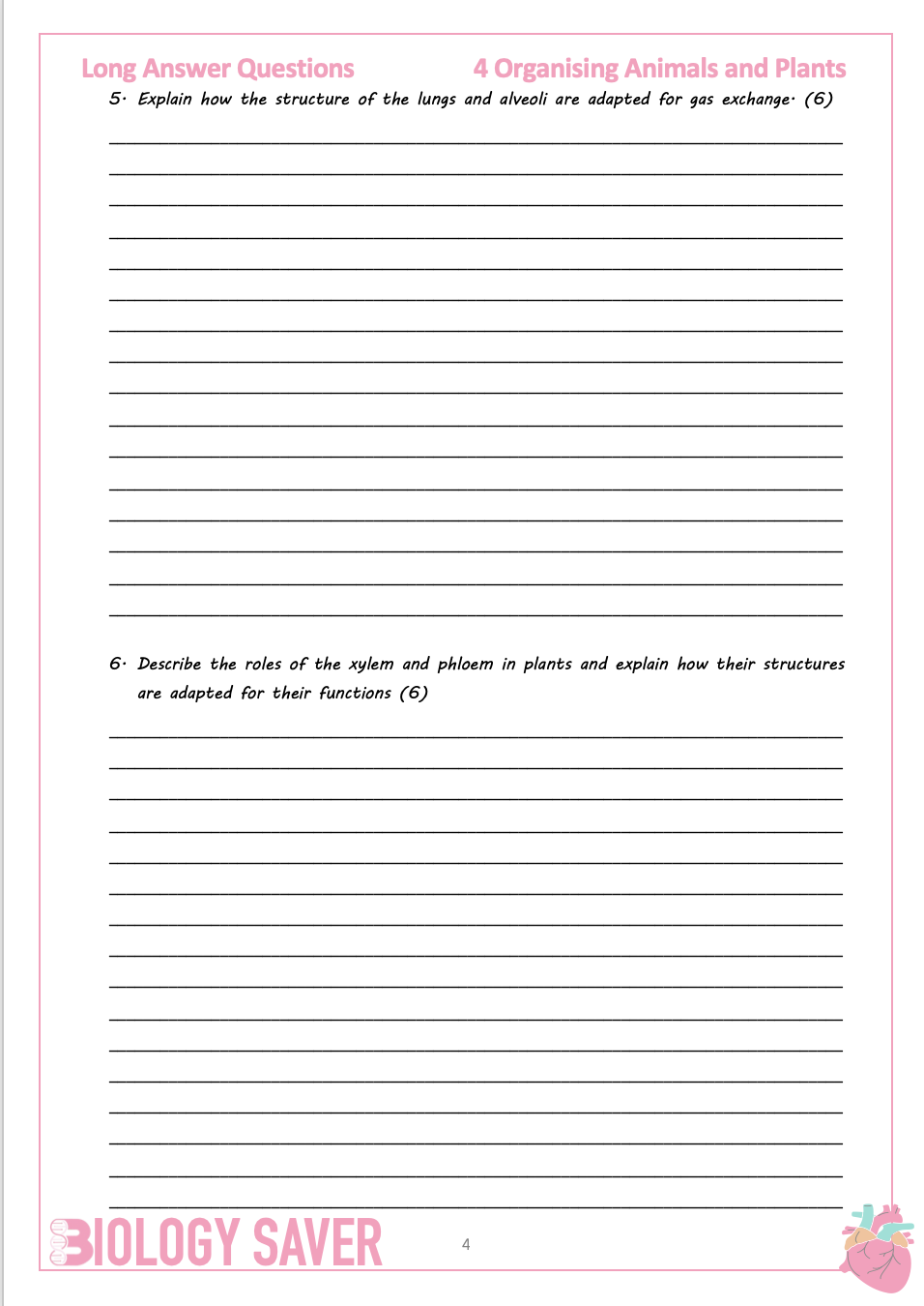 docx, 903.51 KB