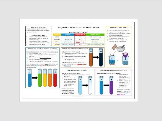 RP4 Food Tests – Summary Mat (GCSE Biology)