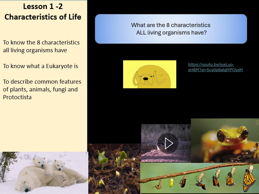IGCSE Edexcel 9-1 Biology 1ab Living Organisms Bundle