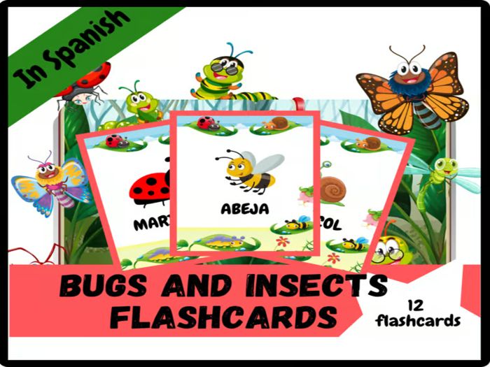 Bugs and Insects Vocabulary Flashcards: Printable Photo Cards for kids/Spanish