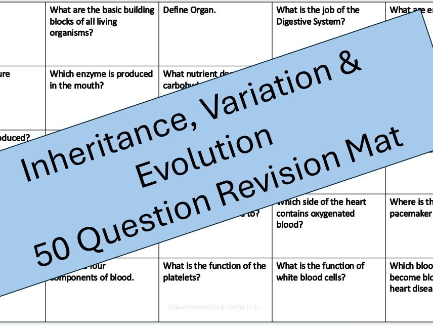 4.6 Inheritance Bundle GCSE Q&A Worksheets 8461 & 8464