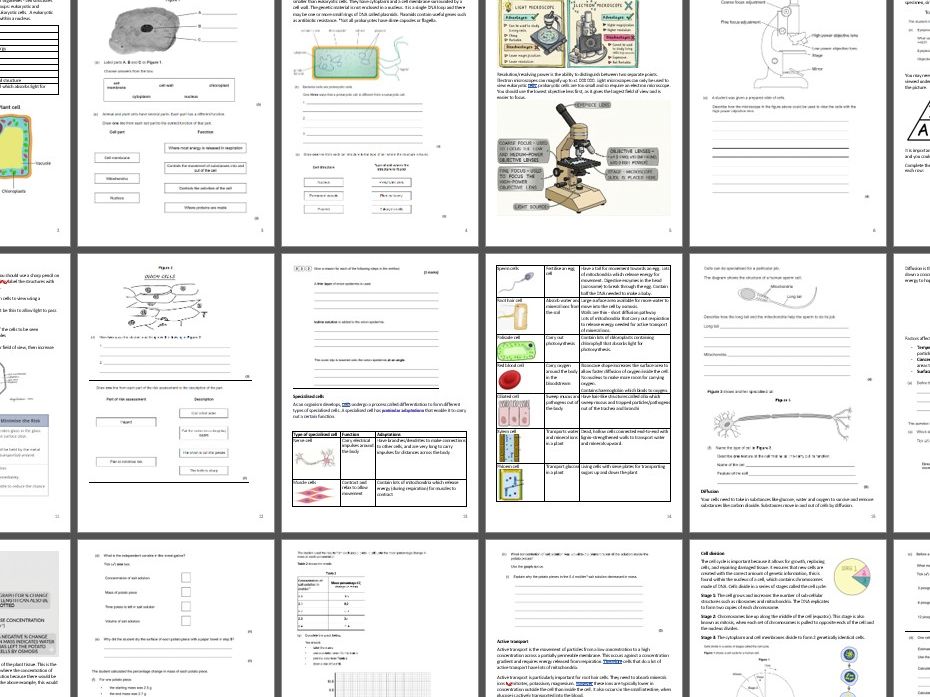 GCSE trilogy cell biology combined science revision mastery booklet practice workbook
