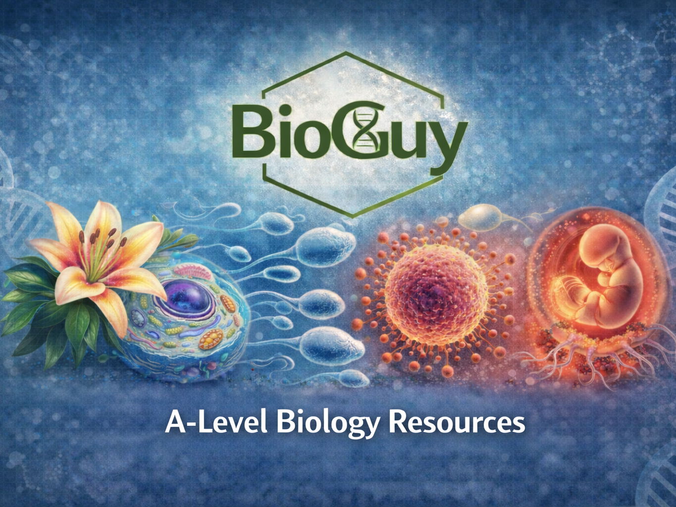 Edexcel Biology B Topic 2: Cells, Viruses and Reproduction Complete Pack