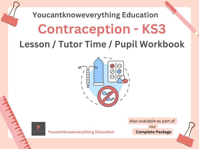 Contraception KS3 PSHE Pupil Workbook