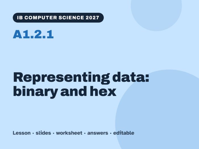 IB Computer Science 2027 – A1.2.1 Representing data: binary and hex – Lesson & Worksheet