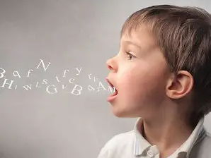 Staff training -Supporting Children with Language Delay in Mainstream Primary Settings