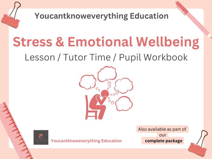 Stress & Emotional Wellbeing Pupil Workbook