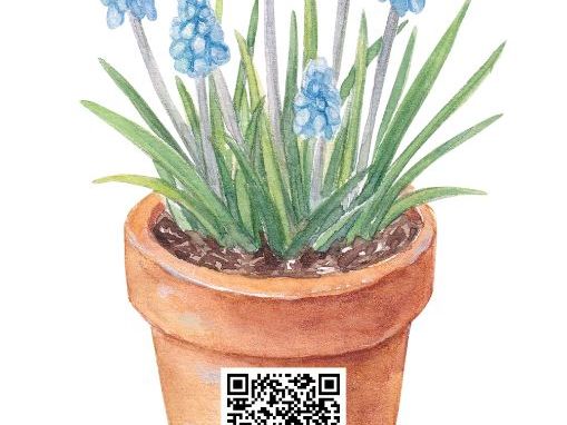 CVC Word QR Codes on Flowerpots