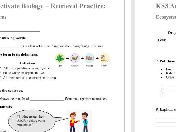 KS3 Activate Biology – Retrieval Practice: Ecosystems (Answers Included)