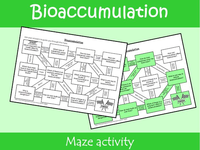 Bioaccumulation Maze Worksheet | KS2–KS3 Science Revision Activity
