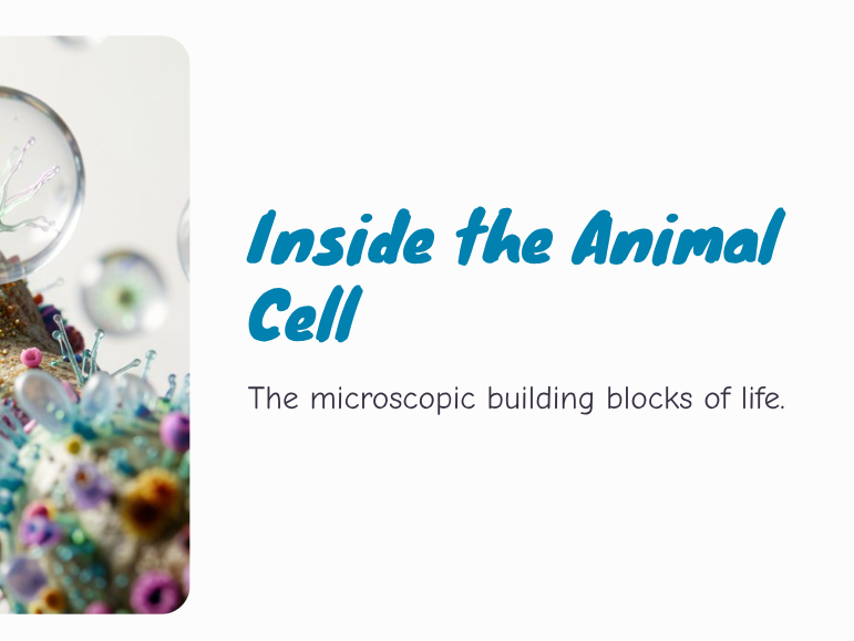 Y7 - Cells - Inside the Animal Cell