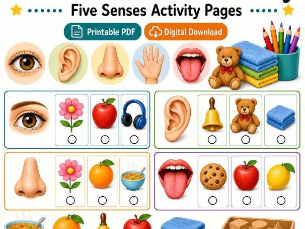 Five Senses Discovery