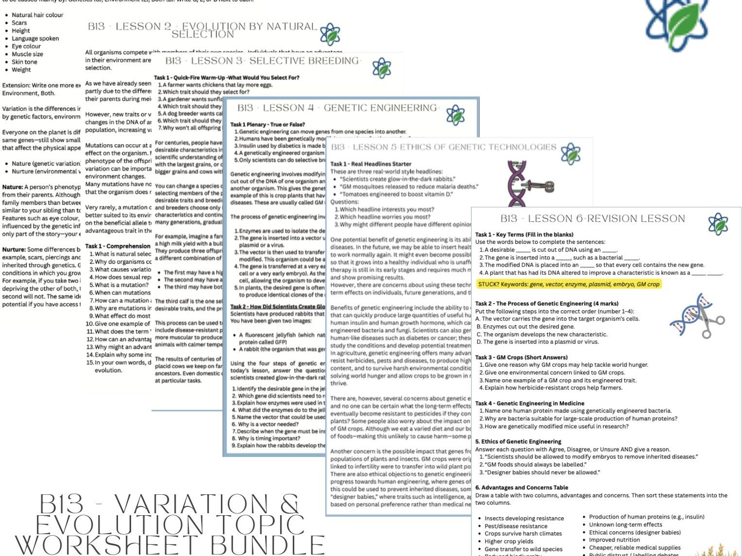 B13/ Variation & Evolution Topic Bundle/Worksheet Lessons With Answers/GCSE/AQA/Combined Science