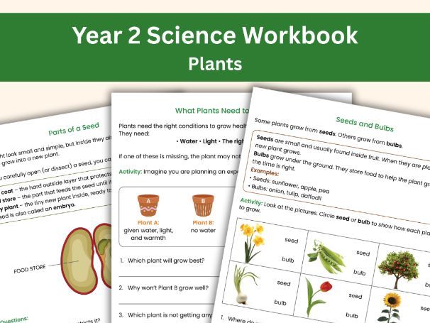 Year 2 Science Workbook: Plants | 18 Printable Worksheets & Activities | Educational Learning
