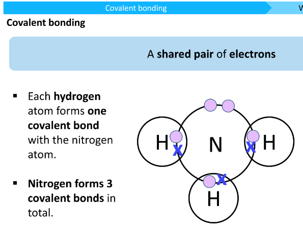 C2 L6: Covalent Bonding
