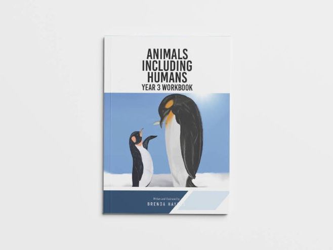 Year 3 Animals Including Humans Workbook | KS2 Science