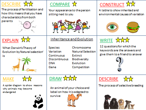 charles darwin theory of evolution ks3