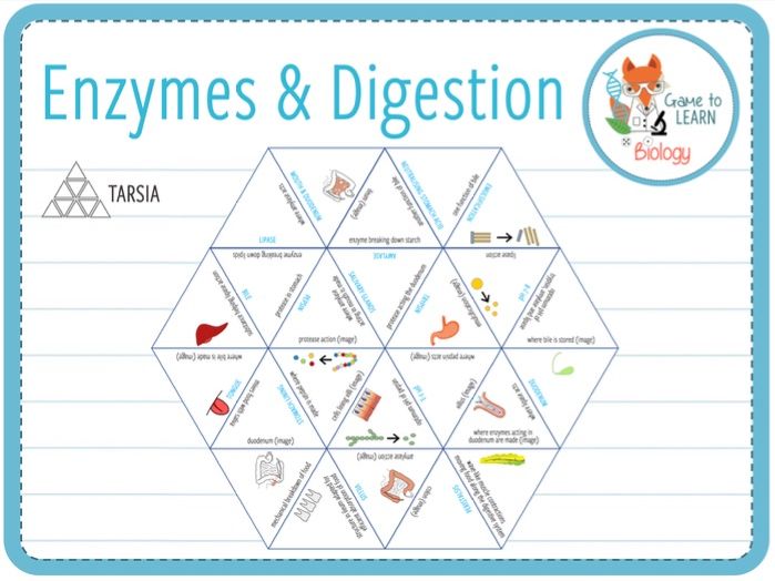 Enzymes and digestion Tarsia (KS3/4) Teaching Resources