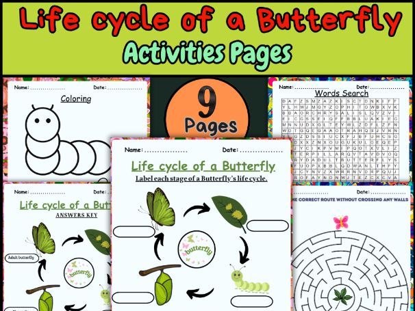 Life Cycle of a Butterfly – Labeling, Coloring & Word Search Science Activity