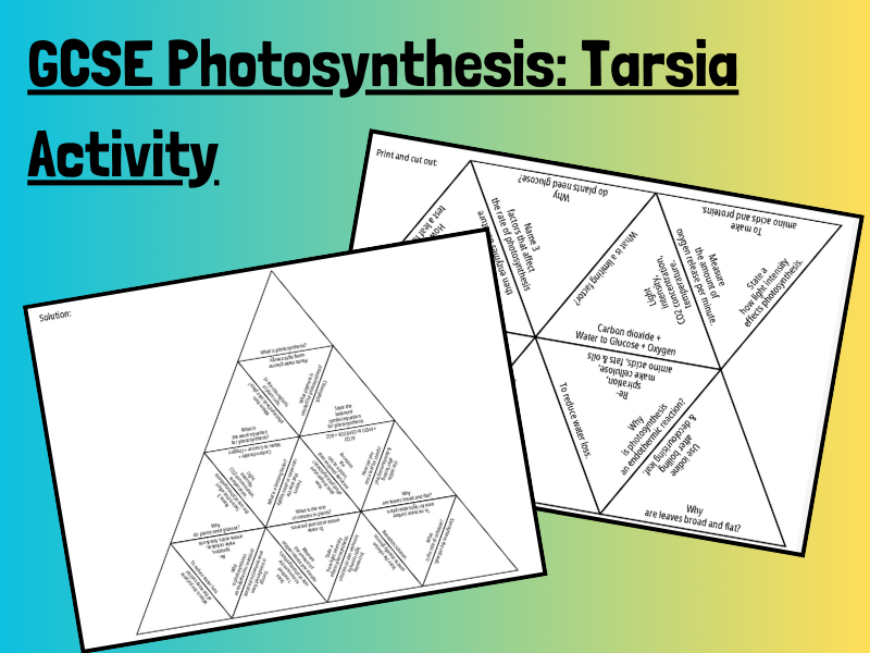 Photosynthesis AQA GCSE