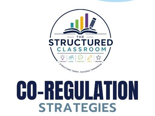 Co-regulation Strategies