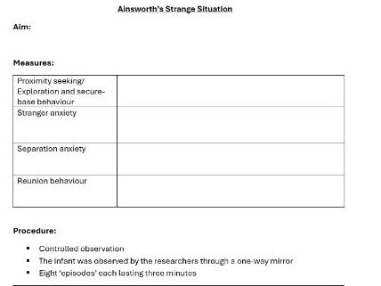 Strange Situation information sheet