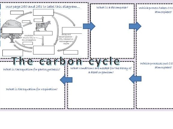 The Carbon Cycle