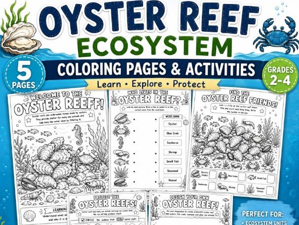Oyster Reef Ecosystem Coloring Pages | Marine Habitat Activities | Ocean Science | Ages 5-7