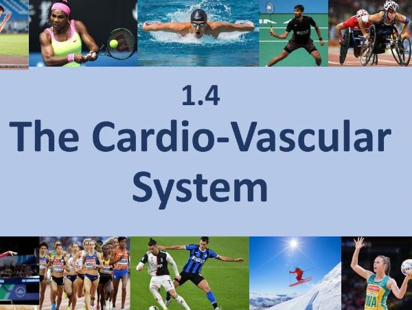 EDEXCEL A LEVEL PE FULL LESSONS Yr1 Chapter 4 - The CV System