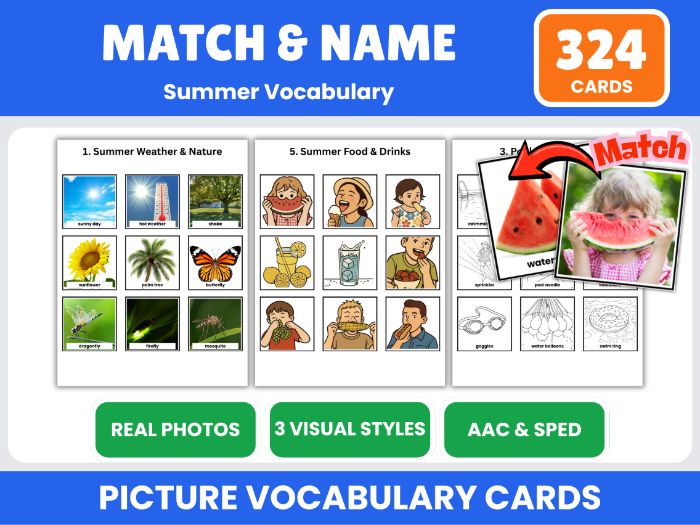 Summer Vocabulary Matching Picture Cards