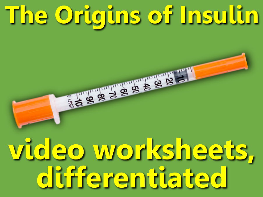 Origins of Insulin: video worksheets, differentiated.