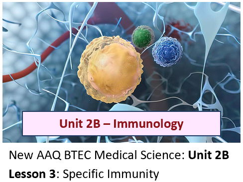 AAQ BTEC Medical Science Unit 2B Immunology – Lesson 3: Specific immunity