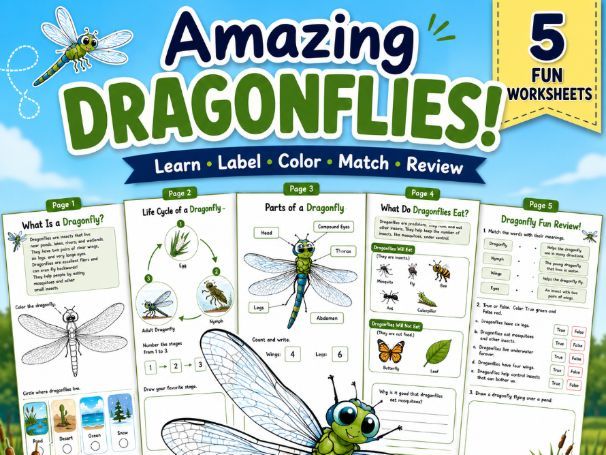 Amazing Dragonflies|Printable Science Worksheets |Life Cycle, Anatomy Ages 6-10