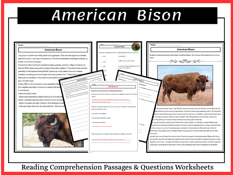 American Bison Reading Comprehension Passages & Questions Worksheets