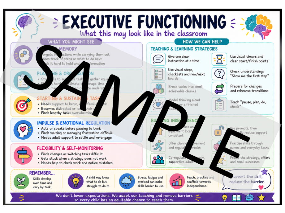 SEND Areas of Learning posters inc Executive Functioning!