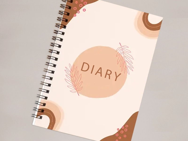 Year 4 Diary Entry/Recount Resource (Two Weeks)