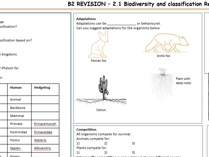 Revision Sheets For WJEC Biology B2 Teaching Resources