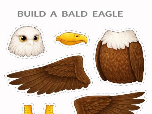 Cut and Paste a Bald Eagle- Fine Motor Skills