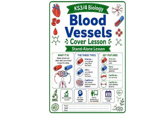 Blood vessels cover lesson (L22) Biolgy