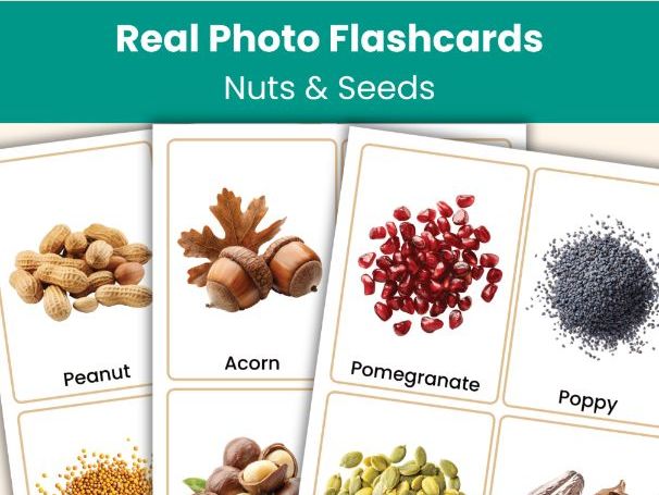 Nuts and Seeds Flashcards – 32 Real Photo Vocabulary Cards for Educational Learning