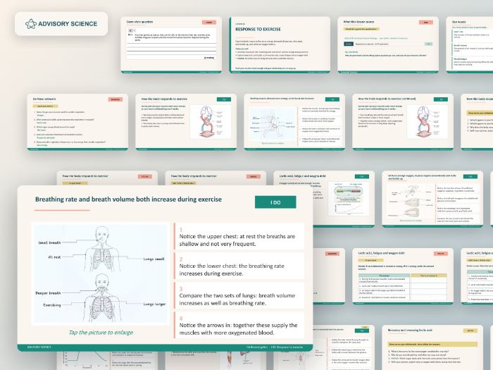 AQA GCSE Combined Science Biology B4 Bioenergetics | 7 Lesson Presentations and Topic Test