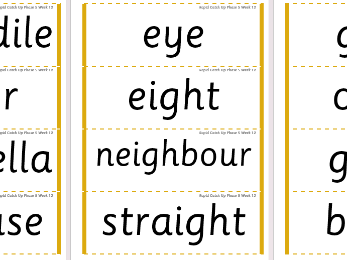 Rapid Catch Up Phase 5 Week 12 (Supports Little Wandle)