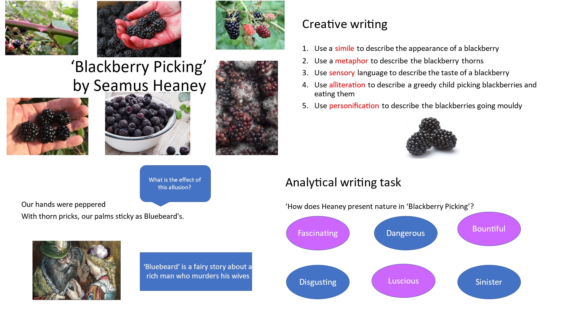 'Blackberry Picking' by Seamus Heaney | Teaching Resources